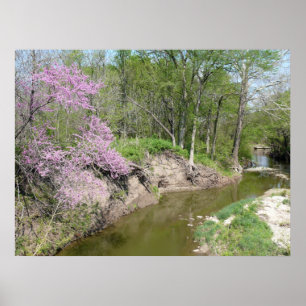 Póster Tranquilidad