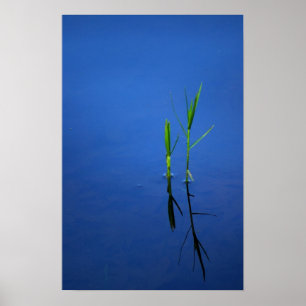 Póster Tranquilidad