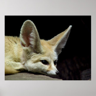 Póster Tranquilidad absoluta