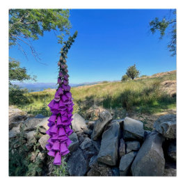 Póster Tranquilidad del campo inglés