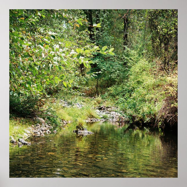 Póster Tranquilidad en el bosque...... (Frente)