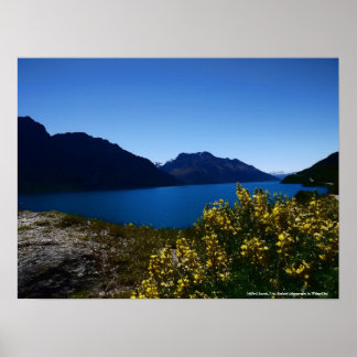 Póster Tranquility Blues South Island, New Zealand Poster