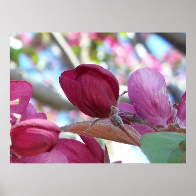 Póster Tranquilo (Frente)