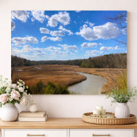 Tranquilo Swampy Wetland Yorktown Virginia