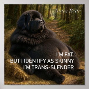 Póster Trans-delgado 