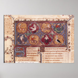 Póster Transforma, de Ovid Moralise