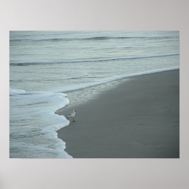 Póster Transformando el fractal (Frente)