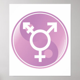 Póster Transgender Ying Yang