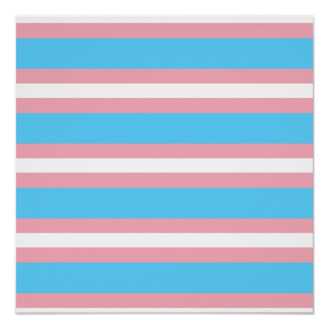 Póster transgénero (Anverso)
