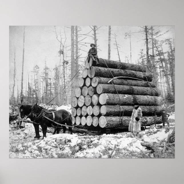 Póster Transportando una carga de troncos, 1908. Foto ant (Frente)