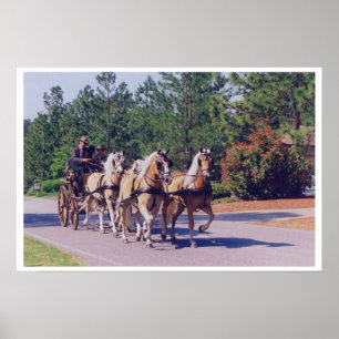 PÓSTER TRANSPORTE DE CAROLINA