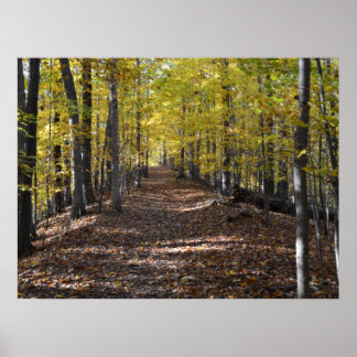 PÓSTER TRANVÍA DE OTOÑO. POSTER