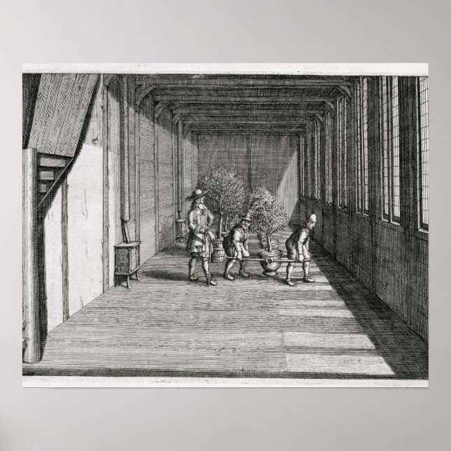 Póster Trasladando árboles al jardín durante el verano, d (Frente)