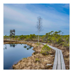 Póster Trayecto de madera sobre pantano con torre