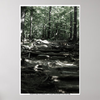 Póster Trayecto de montaña