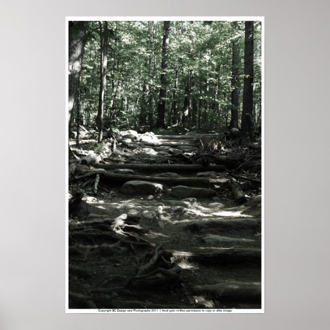 Póster Trayecto de montaña (Frente)