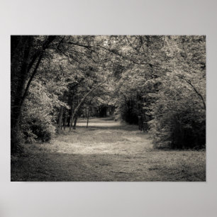 Póster Trayectoria al desconocido