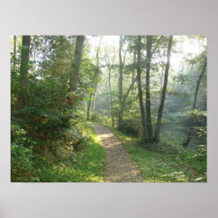 Póster Trayectoria de bosque en Dinamarca