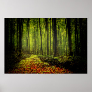 Póster Trayectoria En Los Bosques