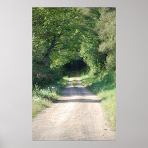 Póster Trayectoria o camino de tierra de bosque en el