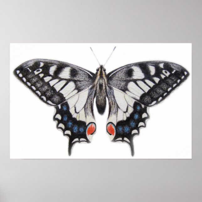 Póster Trayectoria torrencial 2012 (Frente)