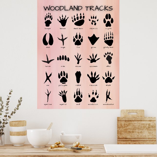 Póster Trayectorias de Woodland (Cocina)