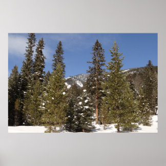 Póster Trayectos de montaña de Montana en fotografía de p