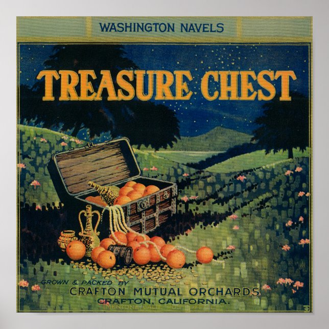 Póster Treasure Chest (field version) Orange Label (Frente)