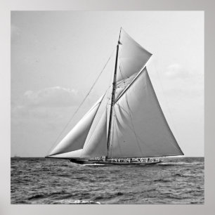 Póster Trébol II en la marca externa BW 1901