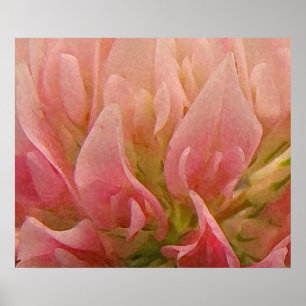 Póster Trébol rosado