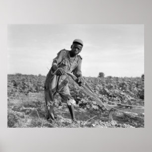 Póster Trece-año viejo arando un campo en Georgia
