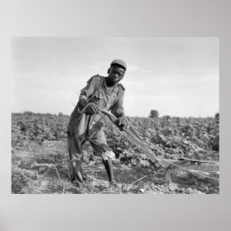 Póster Trece años luciendo un campo en Georgia