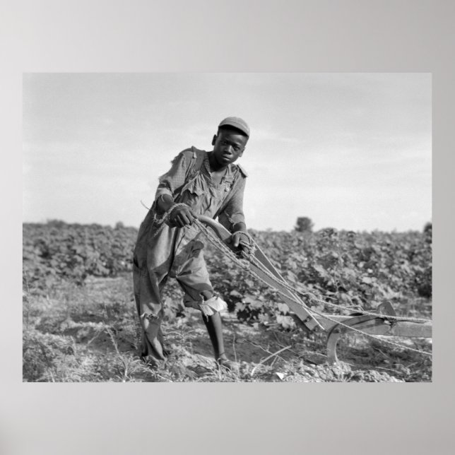 Póster Trece años luciendo un campo en Georgia (Frente)