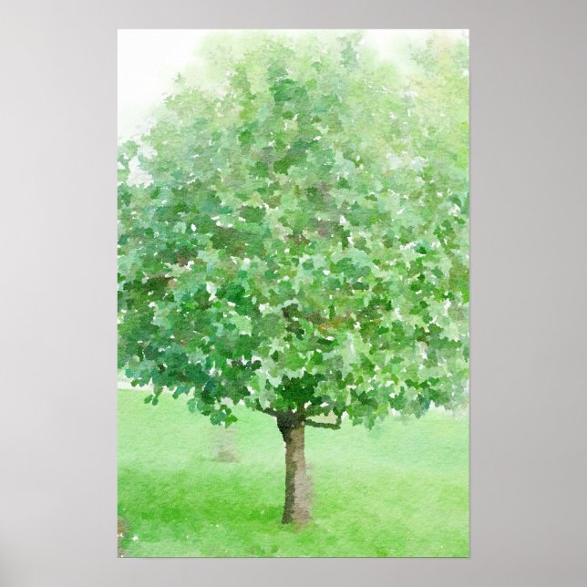 Póster Tree Abstract Watercolor Impressionist Painting (Frente)