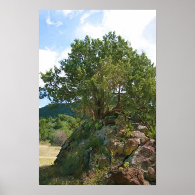 Póster Tree at Capulin Volcano (Frente)