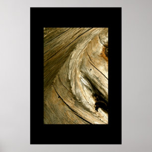 PÓSTER TREE BARK DETAIL