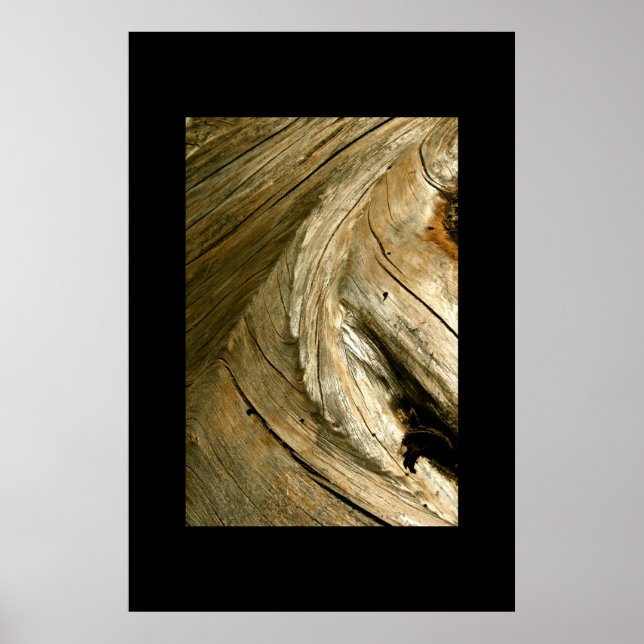 PÓSTER TREE BARK DETAIL (Frente)