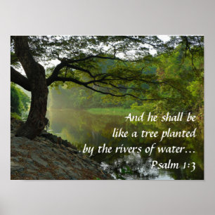 Póster Tree Growing Near Water, Psalm 1:3, Scripture