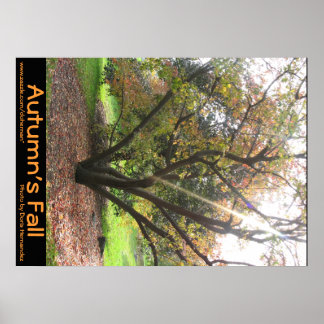 Póster Tree Light Ray Autumn's Fall Poster