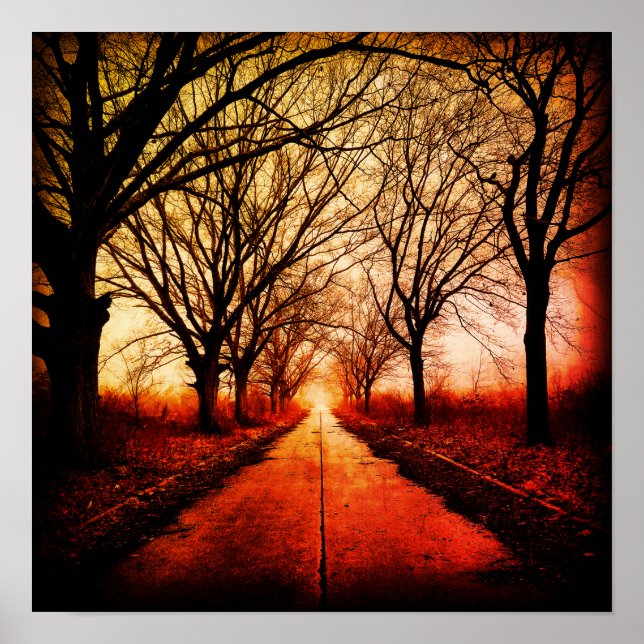 Póster Tree-lined path (Frente)