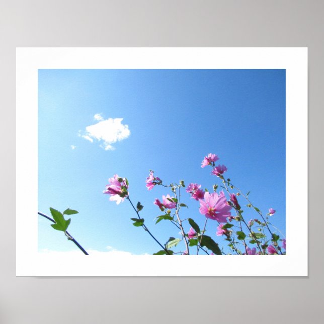 Póster Tree Mallow in Bloom Poster (Frente)
