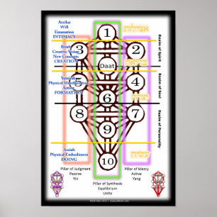 Póster Tree of Life Diagram   Small