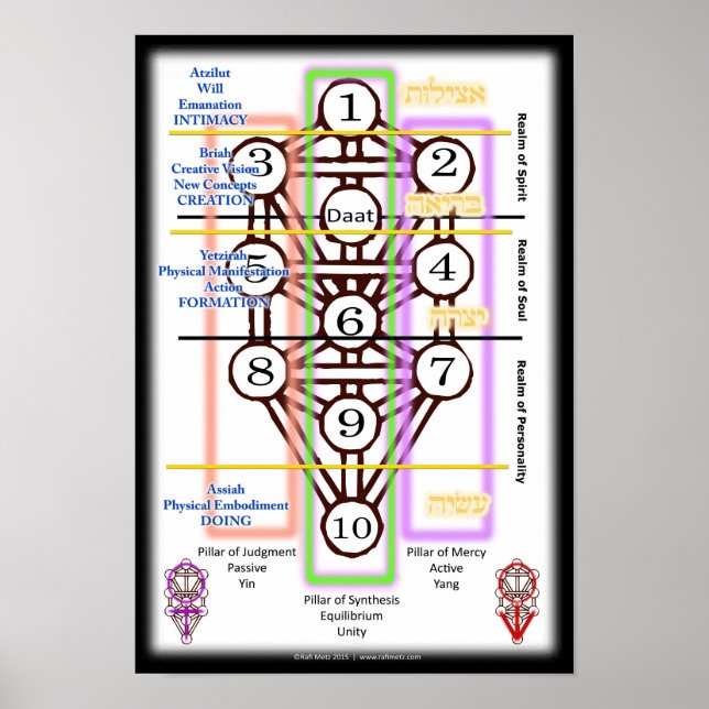 Póster Tree of Life Diagram | Small (Frente)