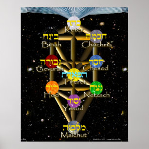 Póster Tree of Life diagram with Hebrew and English