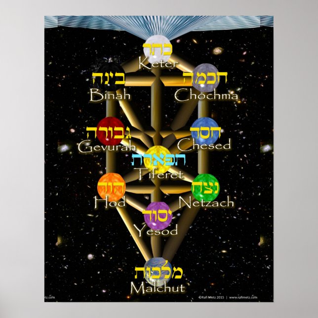 Póster Tree of Life diagram with Hebrew and English (Frente)