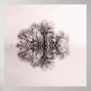 Póster Tree of Reflection 2 Art Poster Print