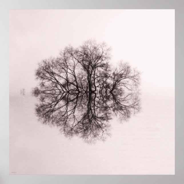 Póster Tree of Reflection 2 Art Poster Print (Frente)