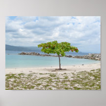 TREE ON SECLUDED BEACH IN JAMAICA POSTER