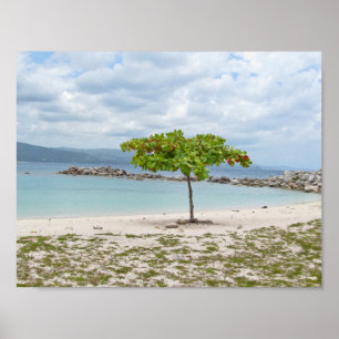 PÓSTER TREE ON SECLUDED BEACH IN JAMAICA POSTER