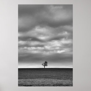 Póster Tree On The Hill